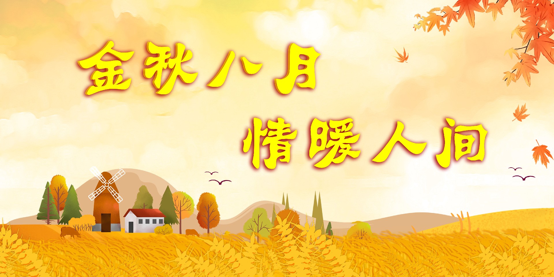 金秋八月.jpg